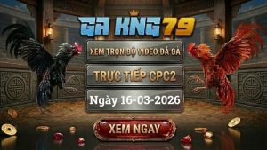 GAKING79 Xem Full Clip Da Ga Truc Tiep CPC2 Ngay 16032026 1