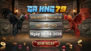 Xem Full Clip Đá Gà Trực Tiếp CPC3 Ngày 20/04/2026