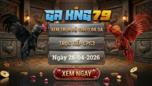 Xem Full Clip Đá Gà Trực Tiếp CPC3 Ngày 26/04/2026