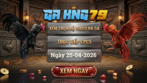Xem Full Clip Đá Gà Trực Tiếp CPC5 Ngày 25/04/2026 với video HD sắc nét, cập nhật nhanh các trận đấu hấp dẫn, highlight đặc sắc và kết quả đầy đủ trong ngày.