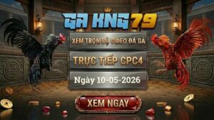 Xem Full Clip Đá Gà Bồ CPC4 Ngày 10/05/2026
