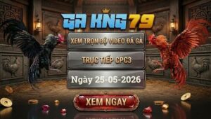 Xem Full Video Đá Gà CPC3 25/5/2026 Tại GAKING79