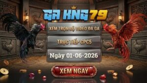 Xem Full Video Đá Gà CPC5 01/06/2026