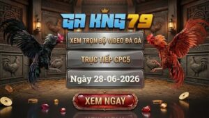 Xem Full Video Đá Gà CPC5 Ngày 28/06/2026 Tại GAKING79